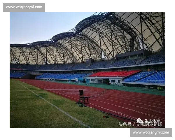 停赛风波背后的规则博弈与体育精神重塑之路联赛生态与球员未来发展思考